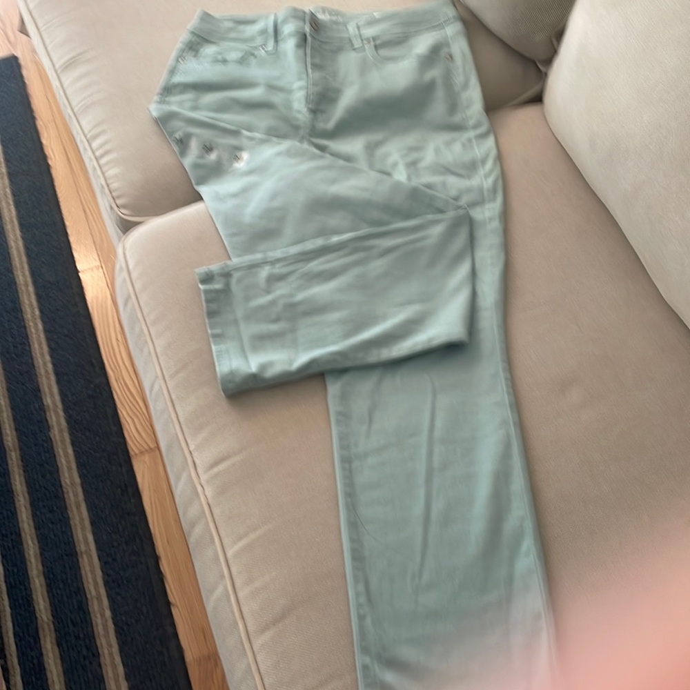 Style and Co pants. New , never worn